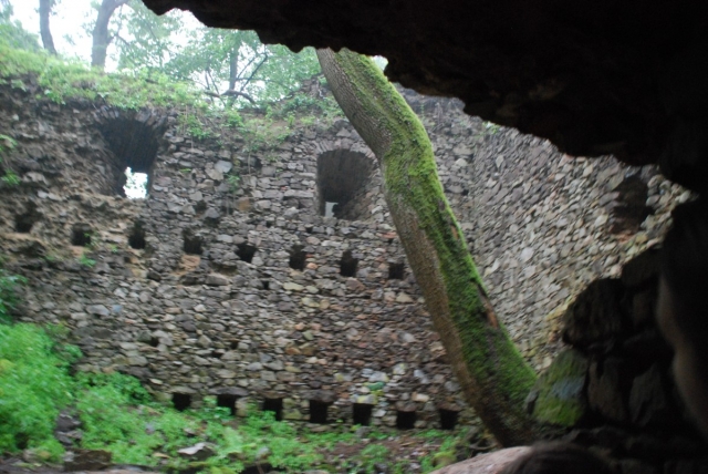 2009-DSC_0078